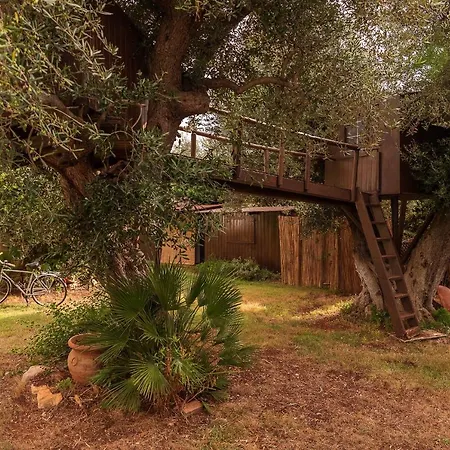 Dodo Villa