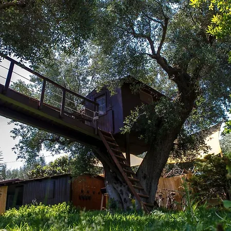 Dodo Villa *