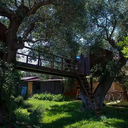 Villa Dodo