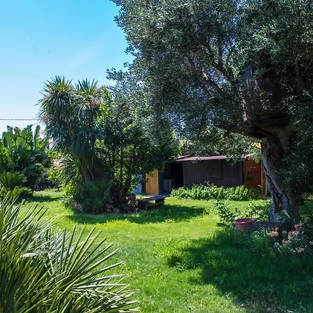 Dodo Villa