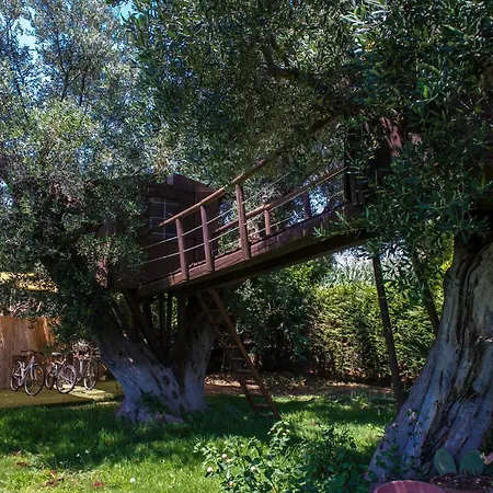 Dodo Villa