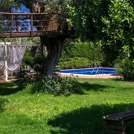 Villa Dodo *