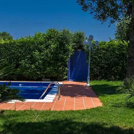 Dodo Villa *